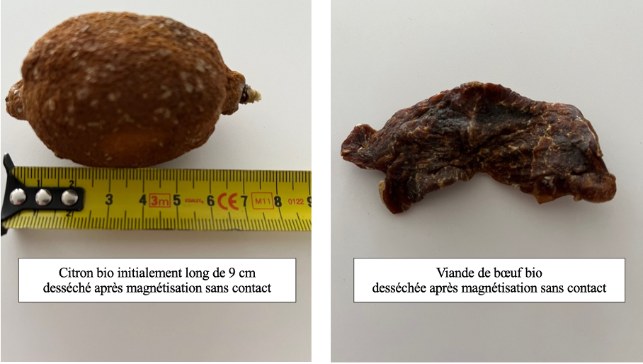 citron et viande desséchés par magnétisation